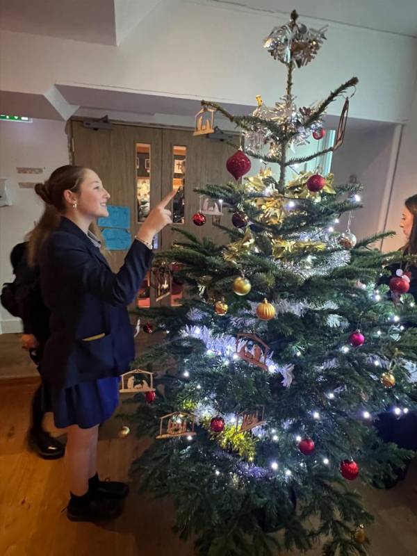 Christmas Tree Service 2024 