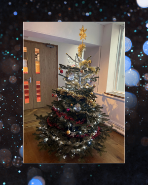 Christmas Tree Service 2025 2