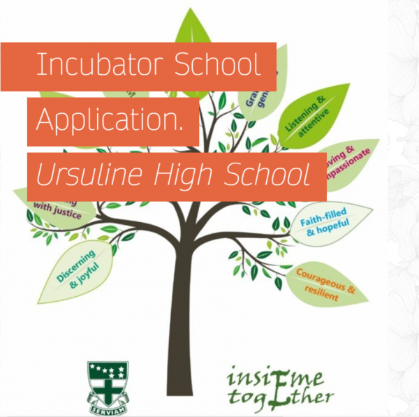 Incubator School Application 2