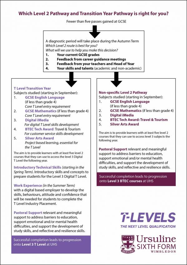 Level 2 Pathway and T Level Transition Year