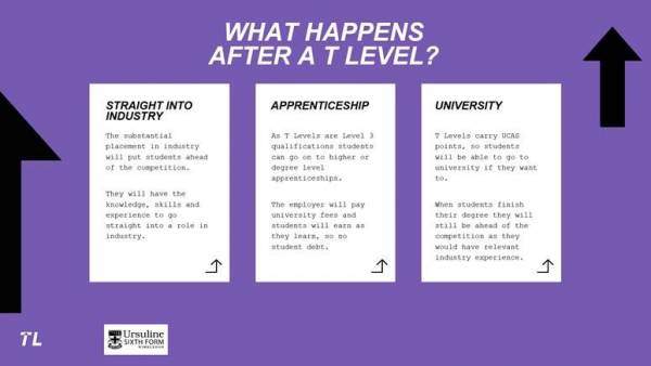 Career Path Outline